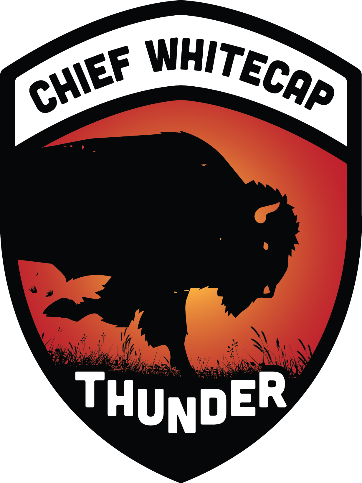 Chief Whitecap School logo