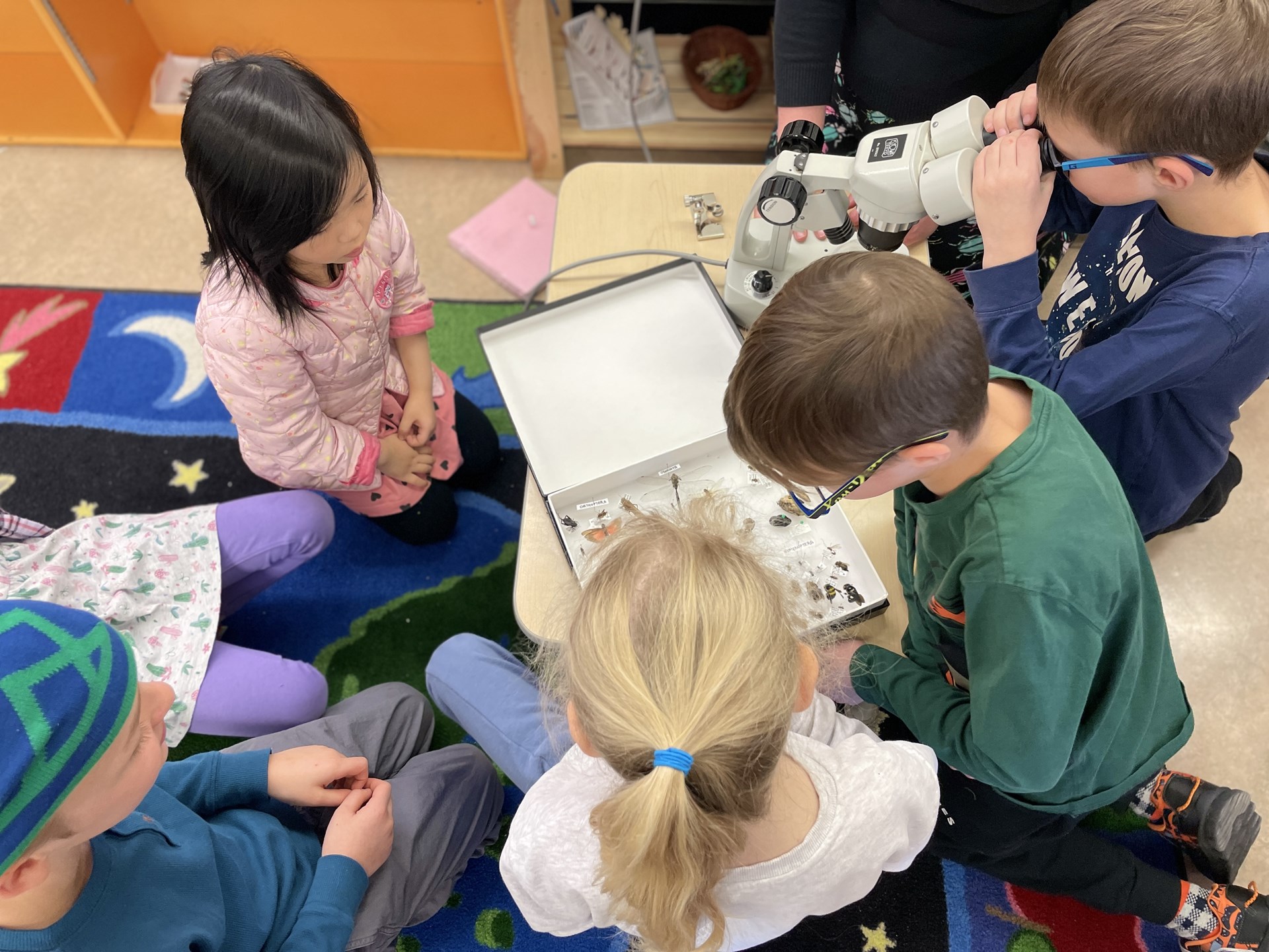 Montessori 1.jpg